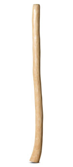 Medium Size Natural Finish Didgeridoo (TW1284)